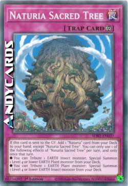 NATURIA L'ALBERO SACRO