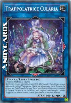 TRAPPOLATRICE CULARIA