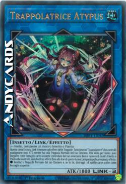 Trappolatrice Atypus