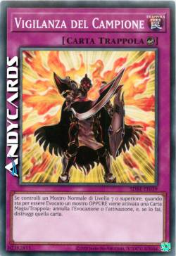 VIGILANZA DEL CAMPIONE