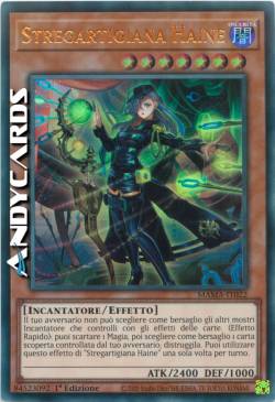 STREGARTIGIANA HAINE