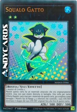 SQUALO GATTO