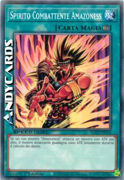 SPIRITO COMBATTENTE AMAZONESS