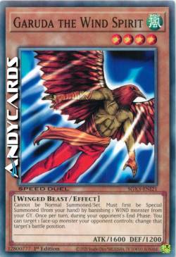 GARUDA LO SPIRITO DEL VENTO