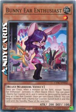 Entusiasta Orecchie da Coniglio