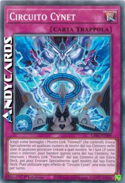 Circuito Cynet