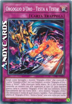 Orgoglio d'Oro - Testa a Testa!