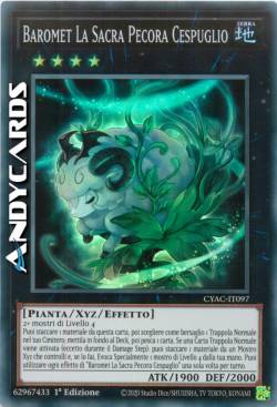 Baromet La Sacra Pecora Cespuglio