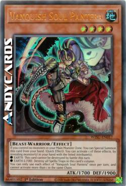 Vanquish Soul Pantera