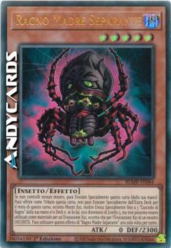 Ragno Madre Separante