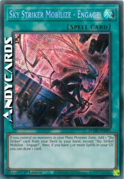 ASSALTATRICE DEL CIELO MOBILITAZIONE - INGAGGIARE!