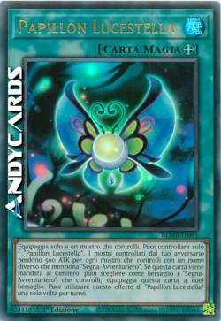 Papillon Lucestella