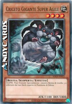 CRICETO GIGANTE SUPER AGILE