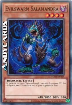 SALAMANDRA BRANCOMALVAGIO