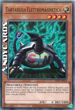 ELECTROMAGNETIC TURTLE