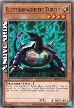 TARTARUGA ELETTROMAGNETICA