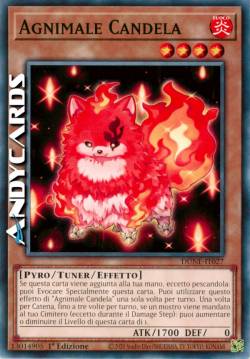 Agnimale Candela