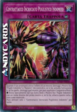 Contrattacco Incrociato Pugilistico Indomito