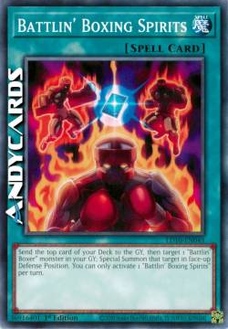 SPIRITI PUGILISTICI INDOMITI