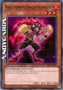 PUGILE INDOMITO CONIGLIO PICCHIATORE