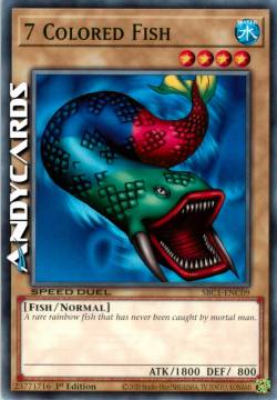 PESCE DEI 7 COLORI