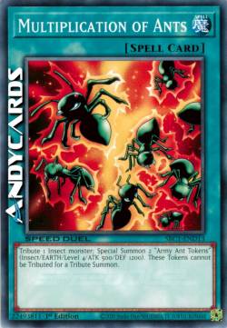 MOLTIPLICAZIONE DELLE FORMICHE