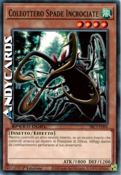 COLEOTTERO SPADE INCROCIATE