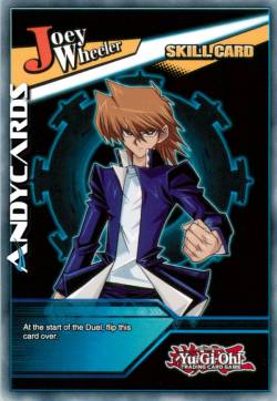 Fermezza di Ferro (Skill)