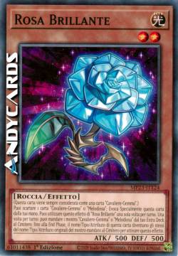Rosa Brillante