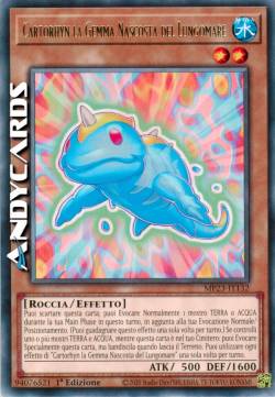 Cartorhyn la Gemma Nascosta del Lungomare