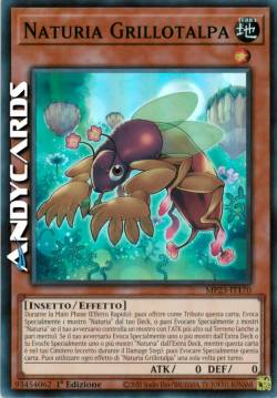 Naturia Grillotalpa