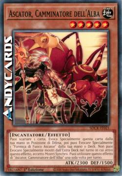 ASCATOR, CAMMINATORE DELL'ALBA