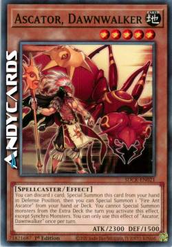 ASCATOR, CAMMINATORE DELL'ALBA