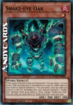 Occhi di Serpente Quercia