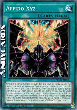 Affido Xyz