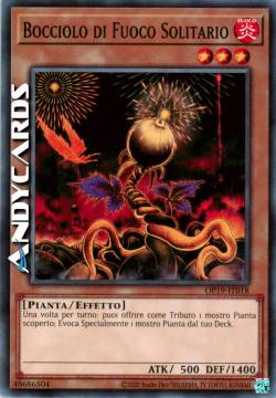 BOCCIOLO DI FUOCO SOLITARIO
