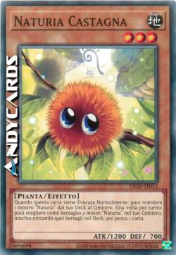 NATURIA CASTAGNA