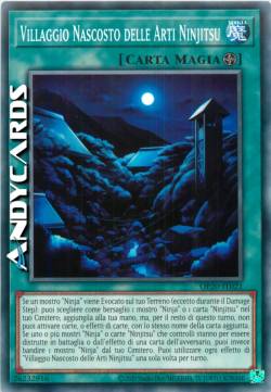 VILLAGGIO NASCOSTO DELLE ARTI NINJITSU