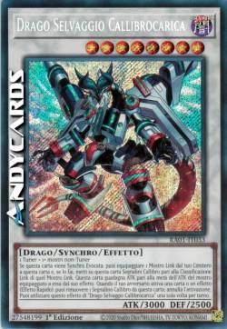 DRAGO SELVAGGIO CALLIBROCARICA