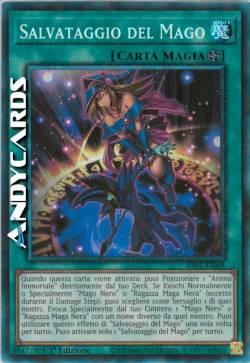 Salvataggio del Mago