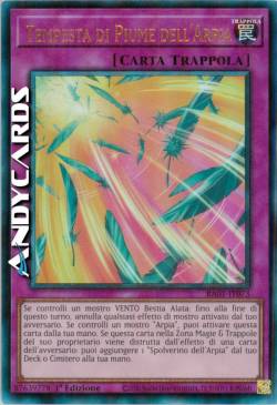 TEMPESTA DI PIUME DELL'ARPIA