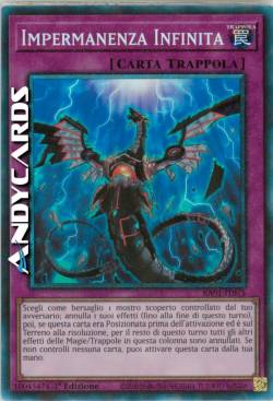 IMPERMANENZA INFINITA