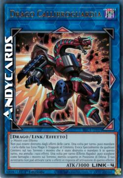 DRAGO CALLIBROGUARDIA