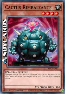CACTUS RIMBALZANTE