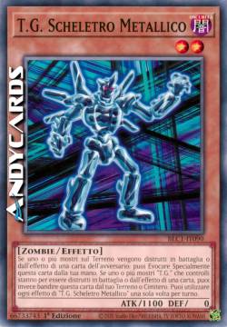 T.G. SCHELETRO METALLICO