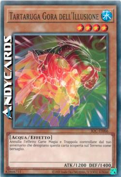 TARTARUGA GORA DELL'ILLUSIONE