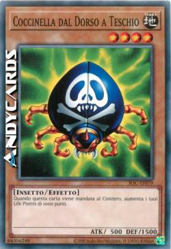 COCCINELLA DAL DORSO A TESCHIO