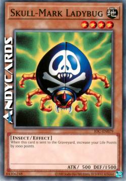 COCCINELLA DAL DORSO A TESCHIO