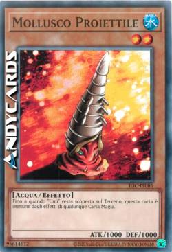 MOLLUSCO PROIETTILE