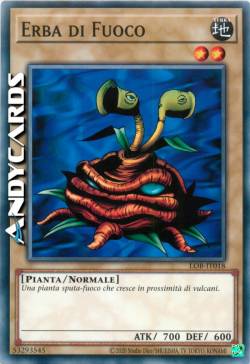 ERBA DI FUOCO